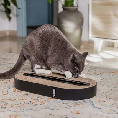 District 70 Scratch Furniture Track