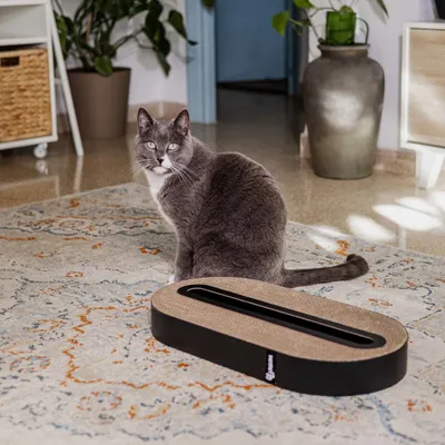 District 70 Scratch Furniture Track