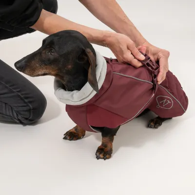 Nomad Tales Spirit Softshell-Hundemantel, burgunderrot Nomad Tales Spirit Softshell-Hundemantel, burgunderrot