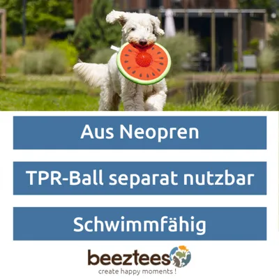 Beeztees Spikie görögdinnye kutyajáték