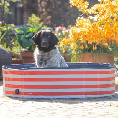 Beeztees Πισίνα Σκύλου Doggy Dip, κόκκινο/λευκό