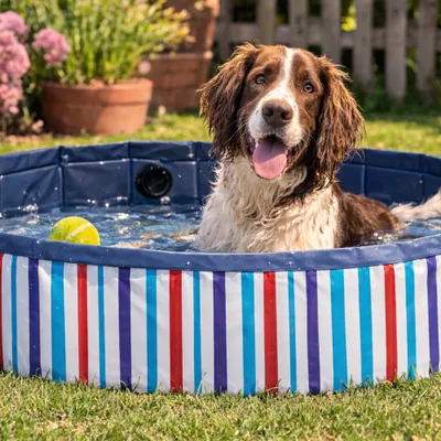 beeztees Hundeplanschbecken Doggy Dip, blau