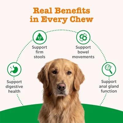 Zesty Paws Scoot Away Anal Gland Support Chews - Turkey - 50 Chews