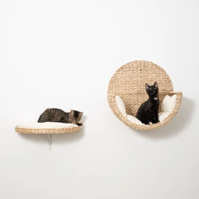 Zwei Wandliegen aus geflochtenem Material mit weißen Kissen, montiert an einer weißen Wand, jeweils mit einer Katze darauf. Zwei Wandliegen aus geflochtenem Material mit weißen Kissen, montiert an einer weißen Wand, jeweils mit einer Katze darauf.