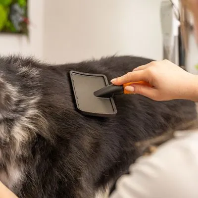 WAHL® Spazzola cardatrice WAHL® Spazzola cardatrice