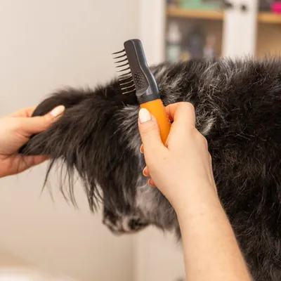 Hand gebruikt een ontklittingskam met oranje handvat voor vachtverzorging bij een dier. Hand gebruikt een ontklittingskam met oranje handvat voor vachtverzorging bij een dier.