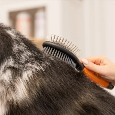 WAHL® Beidseitige Fellpflegebürste WAHL® Beidseitige Fellpflegebürste