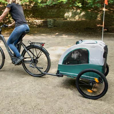 Fahrradanhänger für Hunde von Nomad Tales, grün-weisses Design, mit Sichtfenster und Sicherheitsflagge. Hund sitzt im Anhänger während einer Fahrradtour.