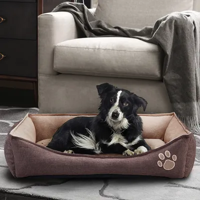 Zwart-witte hond ligt in rechthoekig hondenbed van stof met beige binnenkant en pootafdrukmotief op de zijkant, geplaatst voor een grijze fauteuil.