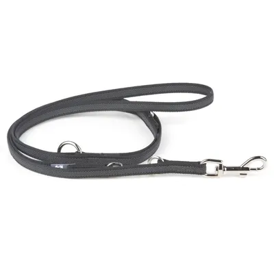 Graue Hundeleine aus robustem Material mit Metallkarabiner und mehreren Befestigungsringen.