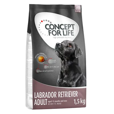 Concept for Life Labrador Retriever Adult, dai 15 mesi, 1,5 kg. Formula speciale: peso ideale, pelle sana e pelo lucido, protezione di articolazioni e cartilagini.