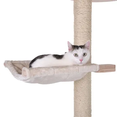Cat tree with beige plush hammock attached to sisal post. White and black cat lying relaxed in the hammock.