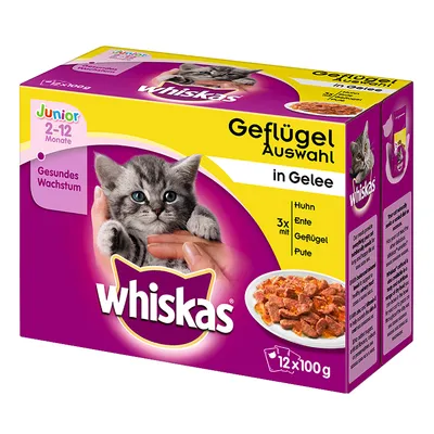 Whiskas Junior 2–12 Monate, Geflügel Auswahl in Gelee, 12×100 g. Prikaz mačića i tanjura hrane. Tekst na njemačkom: Gesundes Wachstum, Huhn, Ente, Geflügel, Pute.