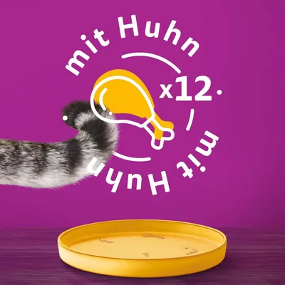 Produktbeschreibung: mit Huhn x12. Gelber Napf auf violettem Hintergrund, Katzenpfote sichtbar.