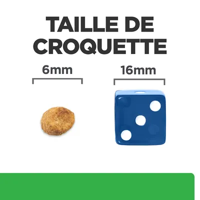 Taille de croquette : croquette de 6 mm à côté d’un dé bleu de 16 mm pour comparaison visuelle.