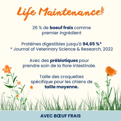 Life Maintenance : 26 % de bœuf frais comme ingrédient principal, protéines jusqu'à 94,65 % digestibles, avec des prébiotiques pour la flore intestinale, croquettes spécialement conçues pour les chiens de taille moyenne. Avec du bœuf frais.