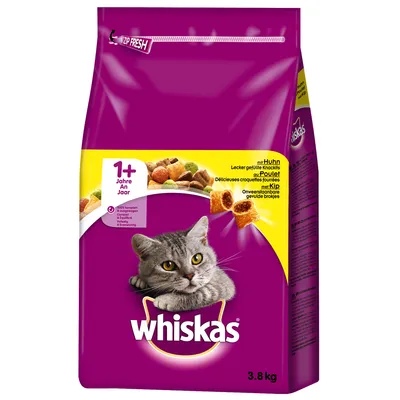 Whiskas суха храна за котки 1+ години с пиле, опаковка 3,8 кг. Видими парчета храна и изображение на сива котка. Текст на няколко езика.