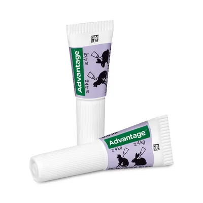 Advantage Spot-On für Kaninchen ab 4kg, Imidacloprid 80mg. Zwei Tuben mit lila Etikett und Anwendungshinweis.