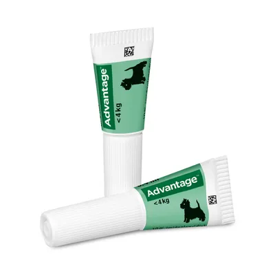 Advantage Spot-On pour chiens de moins de 4 kg, emballage vert avec symbole de chien et QR code visible.