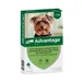 Advantage® 40 voor Honden tot 4 kg