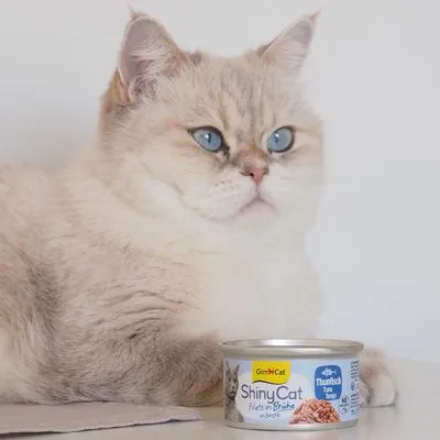GimCat ShinyCat kattenvoer 6 x 70 g