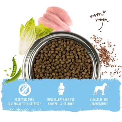 Futternapf mit Trockenfutter, daneben Erbsen, Chicorée, Fleisch und Leinsamen. Hinweise: Rezeptur ohne glutenhaltiges Getreide, Muschelextrakt für Knorpel & Gelenke, Vitalität und Lebensfreude.