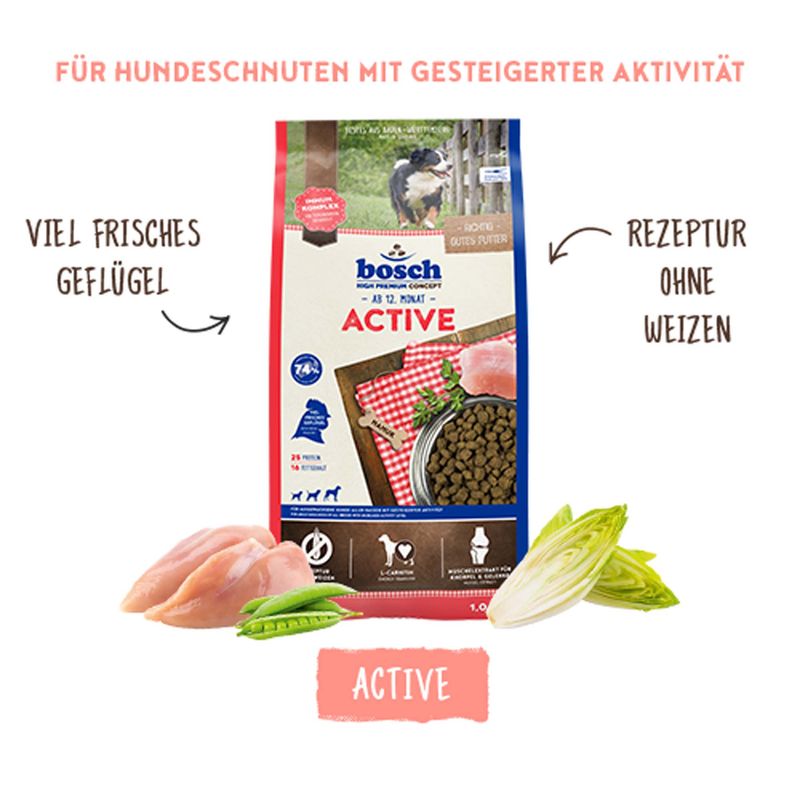 bosch Active