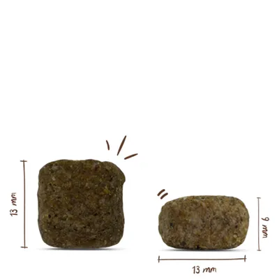 Zwei Futterstücke mit Maßangaben: 13 mm hoch und breit im Stehen, 13 mm breit und 9 mm hoch im Liegen.