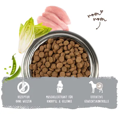 Futternapf mit Trockenfutter, Erbsen, Chicorée und Fleisch. Text: Rezeptur ohne Weizen, Muschelextrakt für Knorpel & Gelenke, effektive Gewichtskontrolle. Futternapf mit Trockenfutter, Erbsen, Chicorée und Fleisch. Text: Rezeptur ohne Weizen, Muschelextrakt für Knorpel & Gelenke, effektive Gewichtskontrolle.
