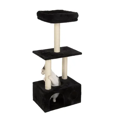 Arbre à chat noir avec deux plateformes, poteaux en sisal beige et niche carrée. Un chat blanc et gris visible entre les poteaux et dans la niche inférieure.