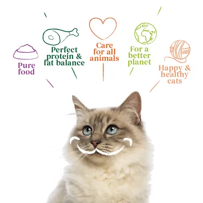 Pure food, Perfect protein & fat balance, Care for all animals, For a better planet, Happy & healthy cats – text above cat image with icons. Text is in English.