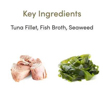 Klíčové ingredience: Tuna Fillet, Fish Broth, Seaweed. Fotografie tuňákového filé a mořských řas. Text v angličtině.