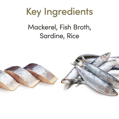 Text: Key Ingredients. Mackerel, Fish Broth, Sardine, Rice. Na obrázku filety makrely a celé sardinky. Text v angličtině.