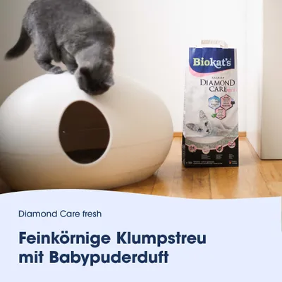 Biokat's Diamond Care fresh feinkörnige Klumpstreu mit Babypuderduft, Verpackung neben Katzentoilette und Katze.