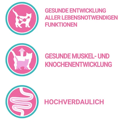Saksankielinen teksti: GESUNDE ENTWICKLUNG ALLER LEBENSNOTWENDIGEN FUNKTIONEN, GESUNDE MUSKEL- UND KNOCHENENTWICKLUNG, HOCHVERDAULICH. Kolme ikonia kissan ja suoliston kuvilla.