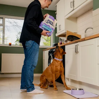 Pooch and Mutt Health & Digestion