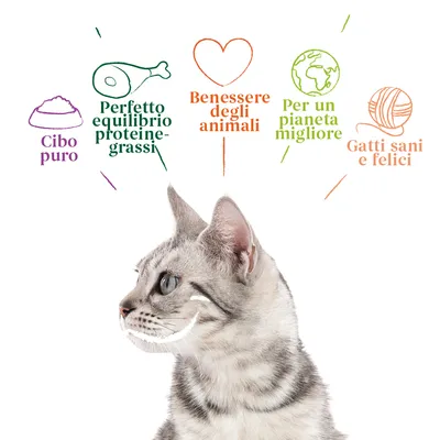 Cibo puro, Perfetto equilibrio proteine-grassi, Benessere degli animali, Per un pianeta migliore, Gatti sani e felici. Testo visibile sopra un gatto grigio.