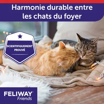 Harmonie durable entre les chats du foyer. Scientifiquement prouvé. FELIWAY Friends.