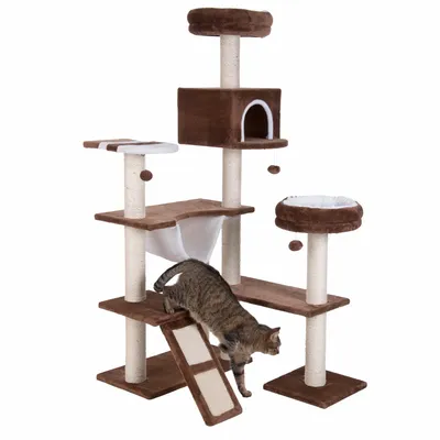 Klatrestativ til kat med flere niveauer, sisalstolper, hængekøje, hule og to liggepladser. En gråstribet kat går ned ad rampen. Materiale: stof og sisal.
