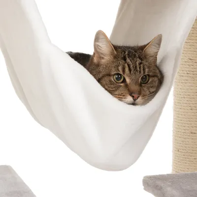 Braun getigerte Katze liegt in einer weissen Hängematte, die an einem Kratzbaum befestigt ist.