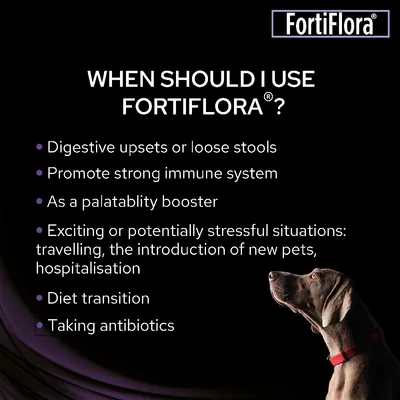 FortiFlora. WHEN SHOULD I USE FORTIFLORA? Digestive upsets or loose stools, promote strong immune system, as a palatability booster, stressful situations, diet transition, taking antibiotics.