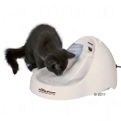 Sort kat drikker af beige Petmate Deluxe Fresh Flow vandfontæne med synligt vandskema og mærkenavn på forsiden.