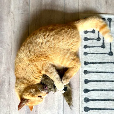 ""