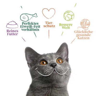 Texte en allemand : Reines Futter, Perfektes Eiweiß-Fett verhältnis, Tierschutz, Bessere Welt, Glückliche gesunde Katzen, avec illustrations et tête de chat gris.