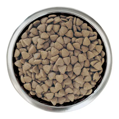 Близък план на суха храна с триъгълна форма в сребърна купа за храна.