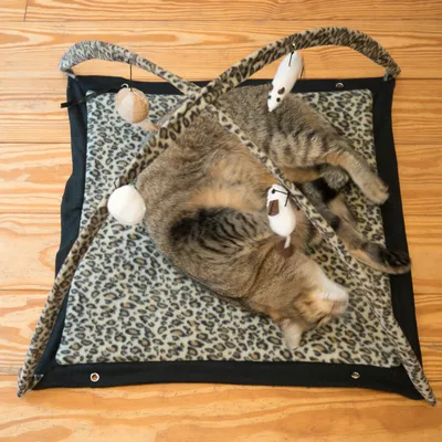 Alfombra de juego con estampado de leopardo y arco de juegos, equipada con juguetes de tela colgantes. Gato tumbado sobre la alfombra.