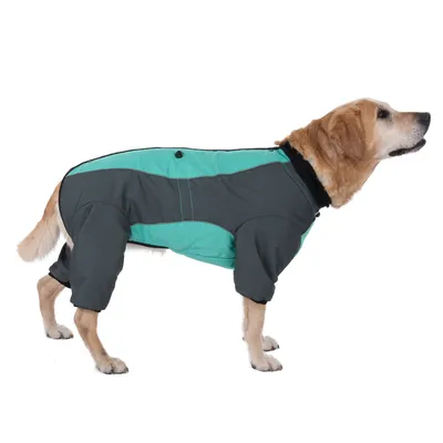 Cane che indossa una tuta integrale grigio-turchese con protezione per le zampe e colletto. Prodotto per la presentazione di abbigliamento per cani.