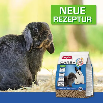 Beaphar Care+ krmivo pre králiky s novou receptúrou. Analýza: 25 % bielkovín, 100 % prírodné zložky, 0 % cukru. Balenie zobrazuje dva králiky a kŕmne pelety.