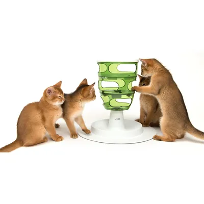 Drie kittens bij een groene, kunststof voerpuzzel op witte voet met merknaam Catit zichtbaar. Kittens gebruiken de puzzel om voer of snacks te bemachtigen.