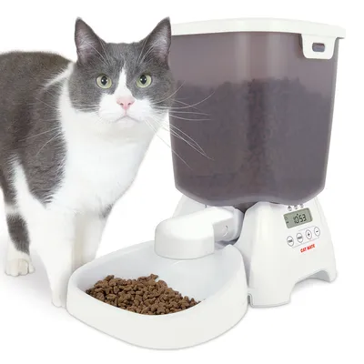 Automatischer Futterspender mit digitaler Anzeige, gefüllt mit Trockenfutter. Weisse und graue Katze steht daneben.